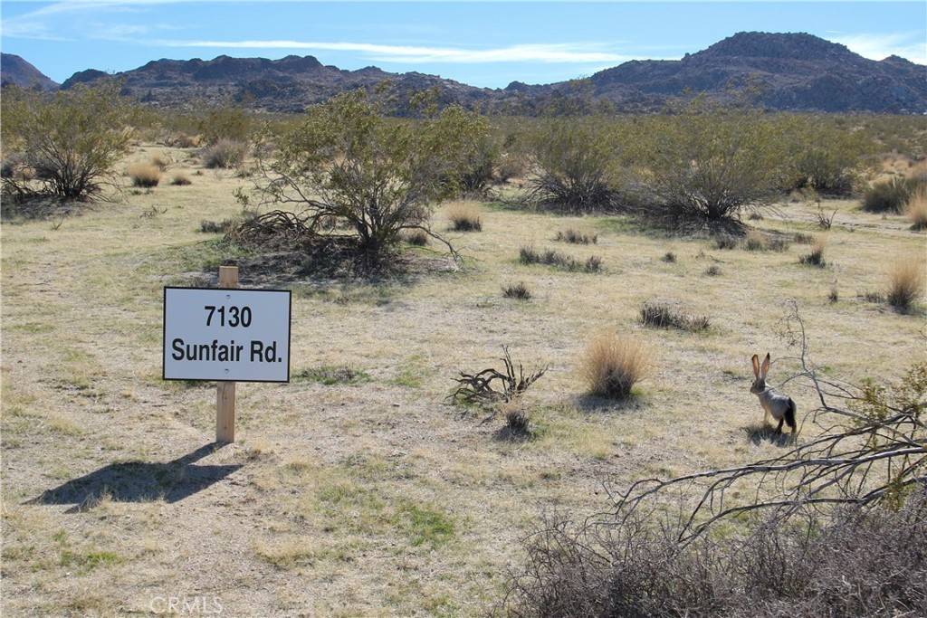 Joshua Tree, CA 92252,64647 Foothill DR