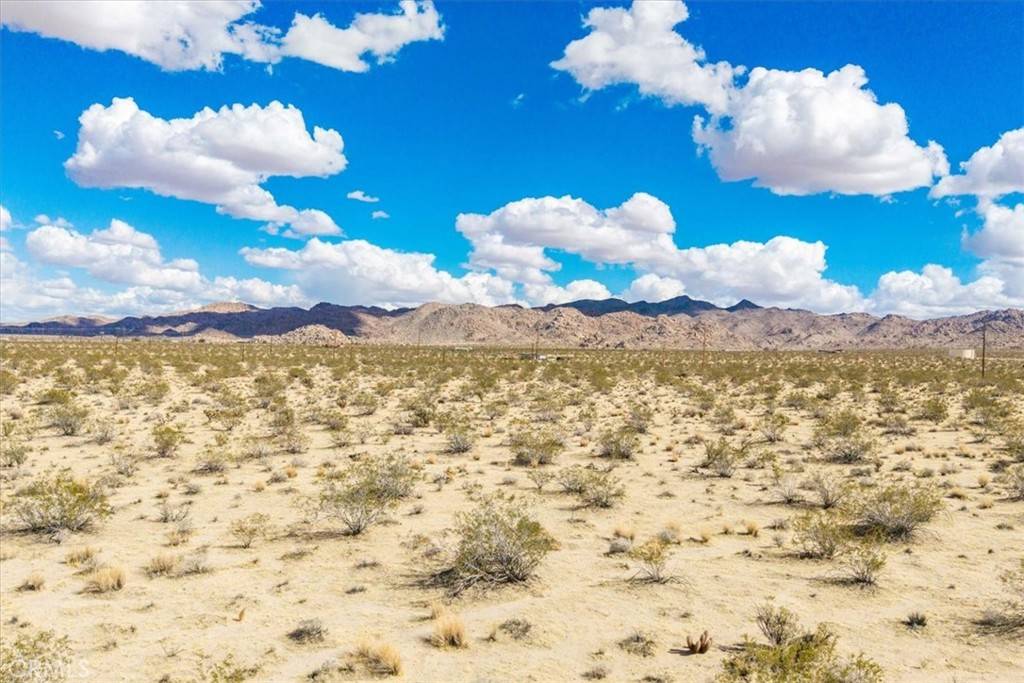 Joshua Tree, CA 92252,8114 Cottonwood DR