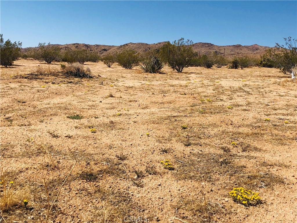 Landers, CA 92285,2 Geronimo TRL