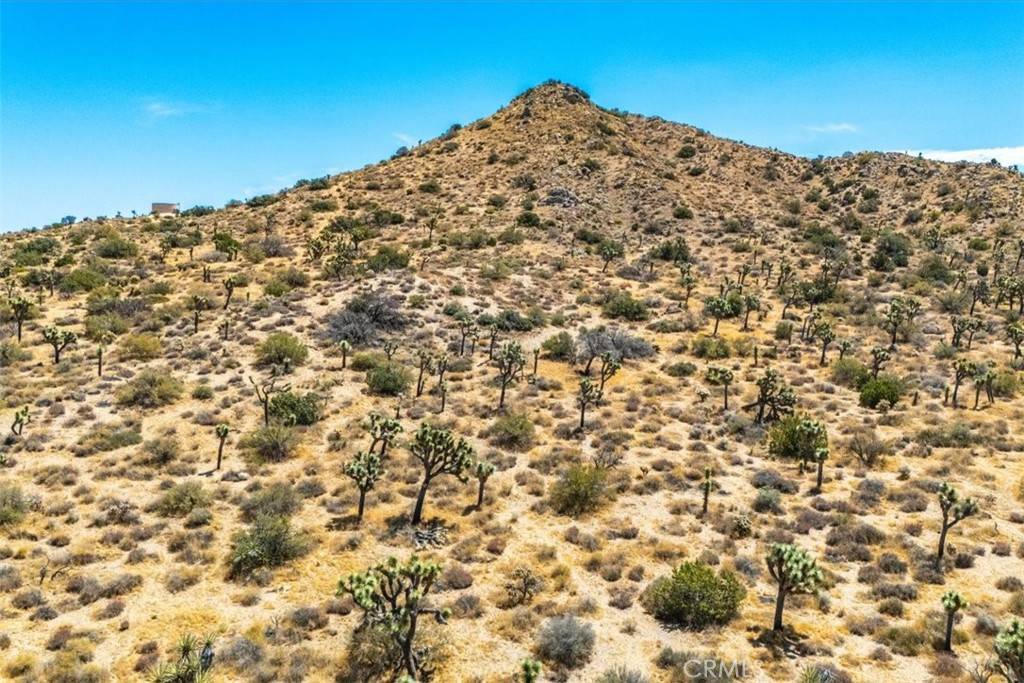 Yucca Valley, CA 92284,8553 Kickapoo TRL