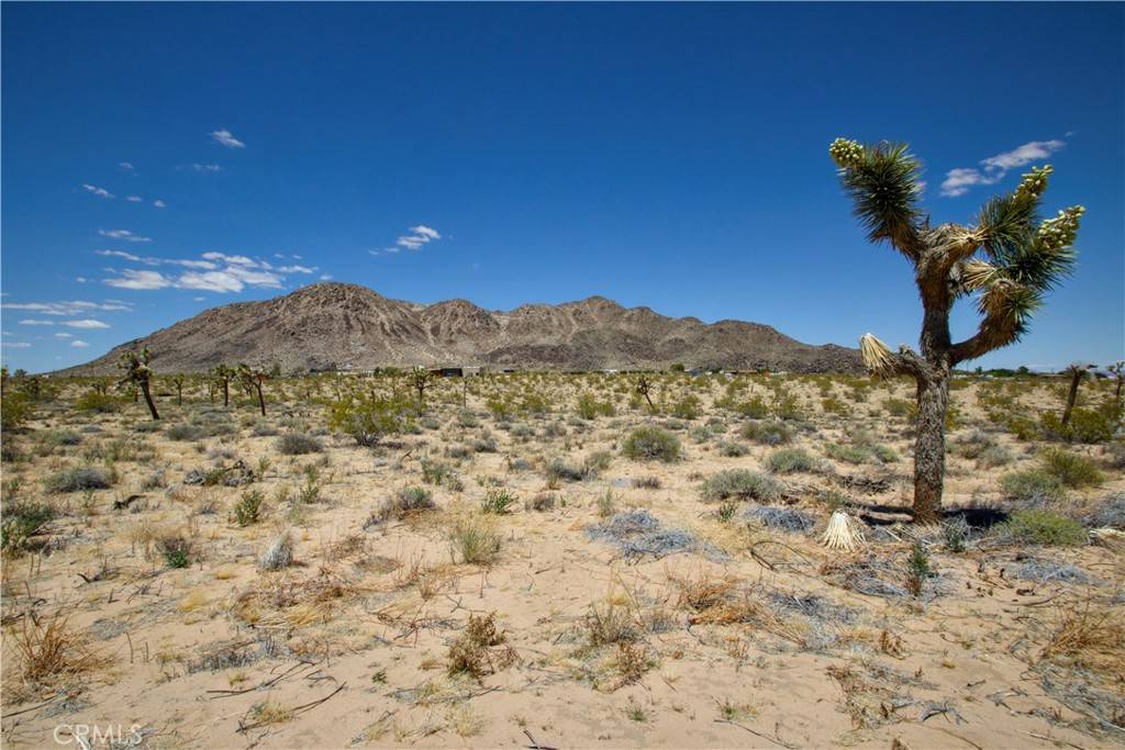 Landers, CA 92285,59460 Applegate WAY