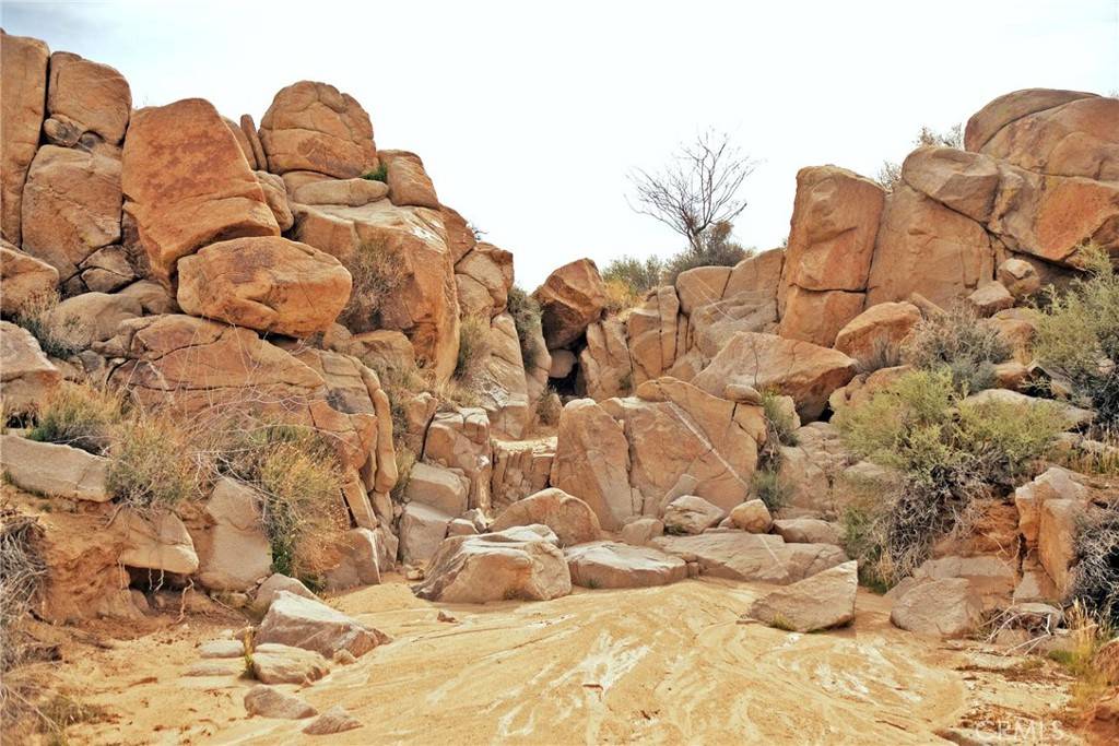 Joshua Tree, CA 92252,8600 Lobo Pass RD