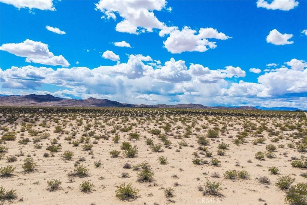 Joshua Tree, CA 92252,63 Lucille LN