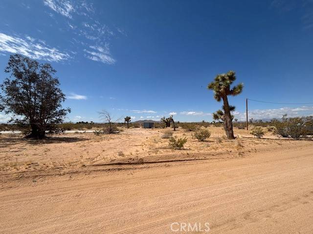 Landers, CA 92284,1 Mitch RD
