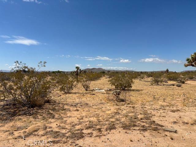 Landers, CA 92284,1 Mitch RD