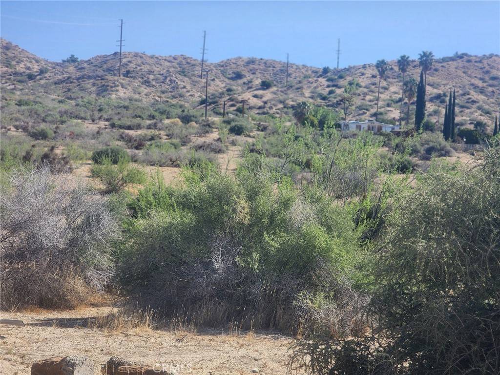 Morongo Valley, CA 92256,0 Canyon House LN