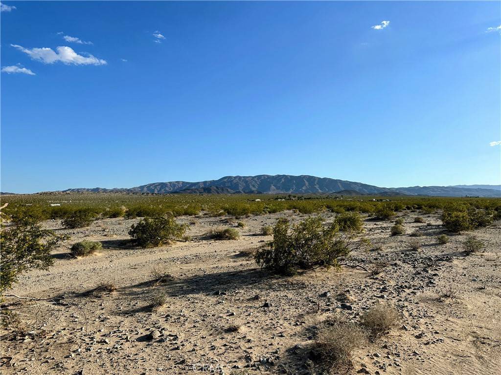 29 Palms, CA 92277,26 Danby RD