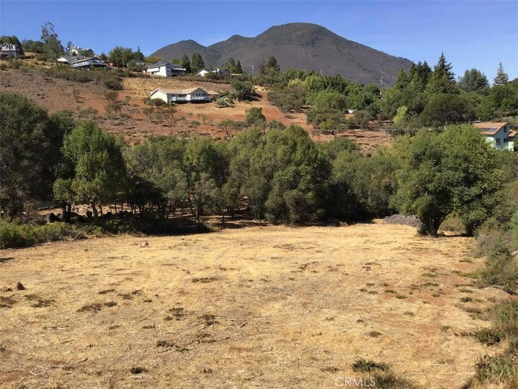 Kelseyville, CA 95451,9528 Timberline CT