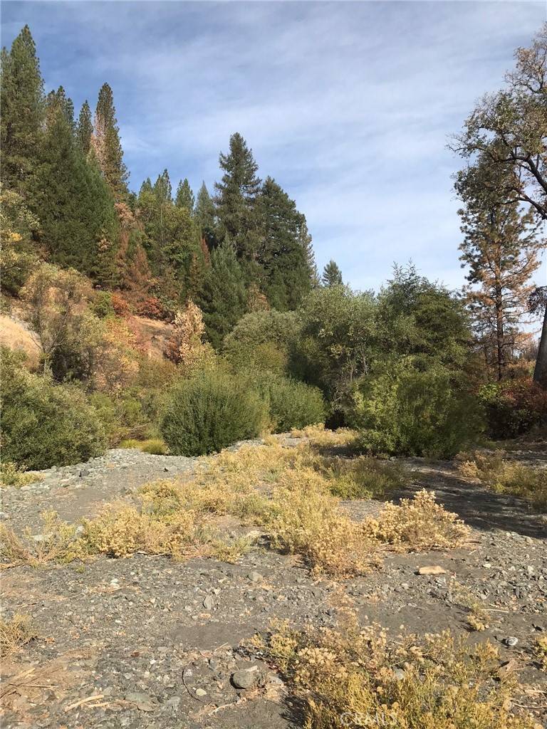 2168 Bear Creek RD Upper Lake, CA 95485