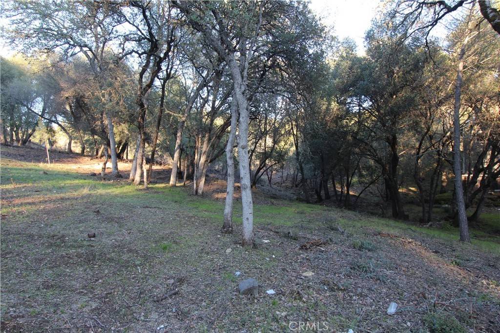 Clearlake, CA 95422,6157 Armijo AVE