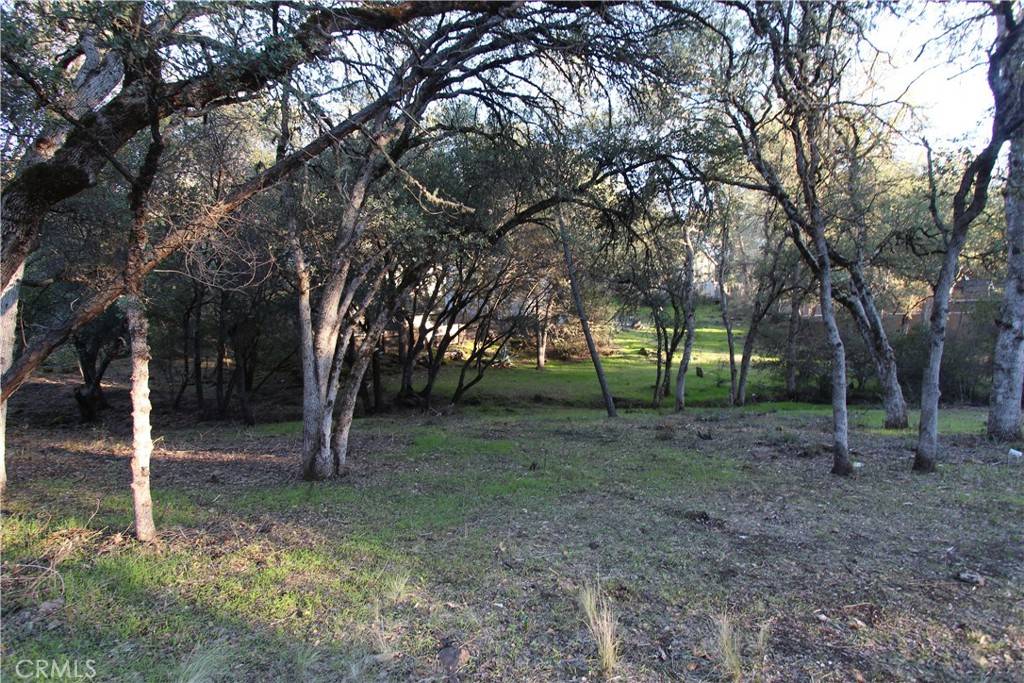 Clearlake, CA 95422,6157 Armijo AVE