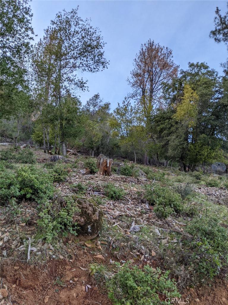 Kelseyville, CA 95451,3511 Pine Terrace