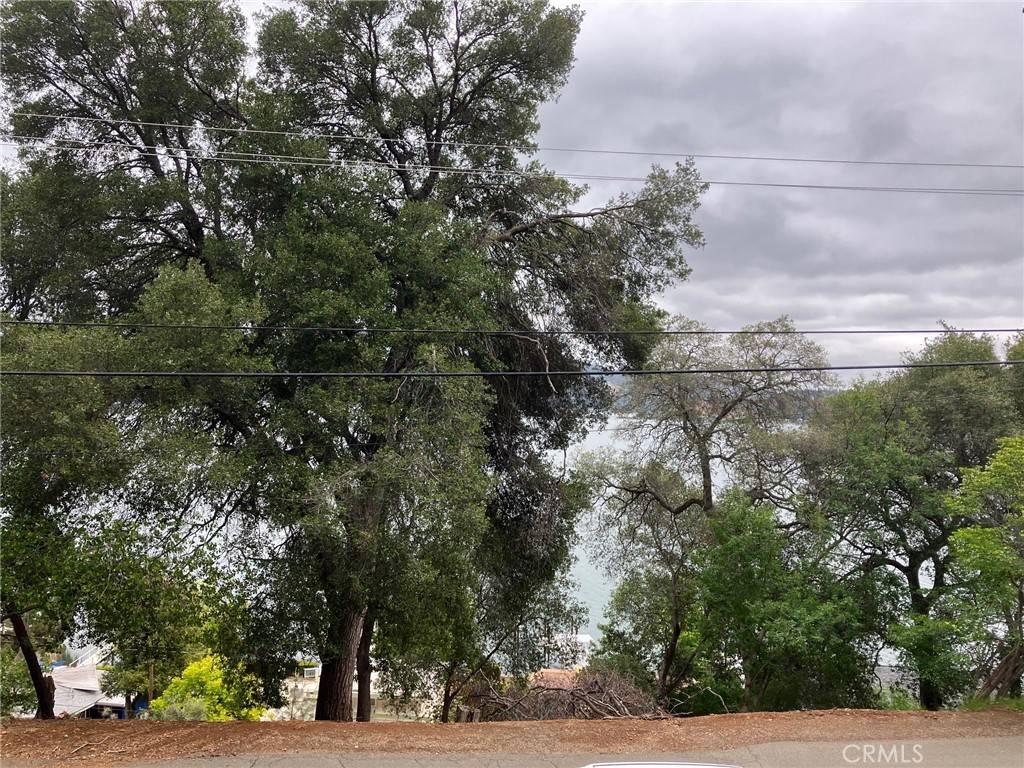 Kelseyville, CA 95451,3153 Southlake DR