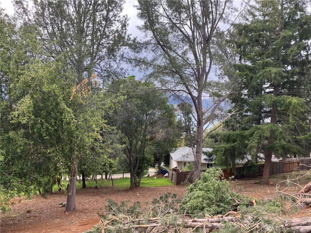 Kelseyville, CA 95451,3528 Fircrest CT