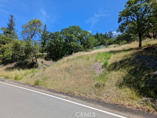 Willits, CA 95490,2561 Peacock DR