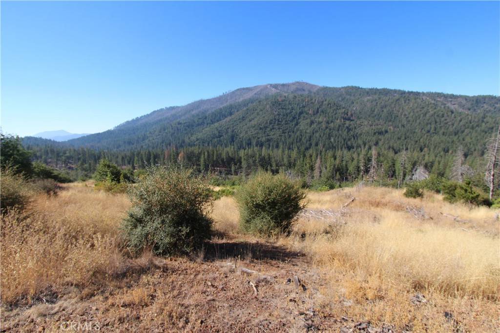 Cobb, CA 95426,15665 Summit