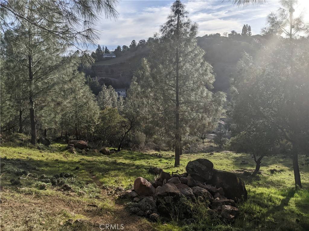 Kelseyville, CA 95451,10353 Walnut WAY