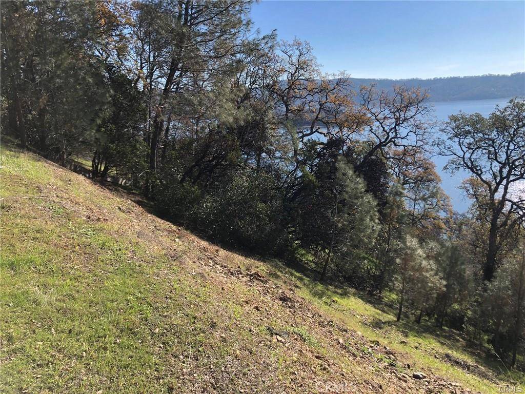 Clearlake Oaks, CA 95423,11705 Lakeview DR