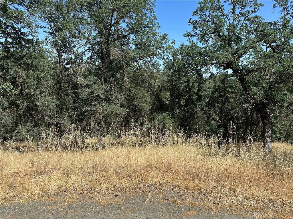 Hidden Valley Lake, CA 95467,18051 Vista Point CT