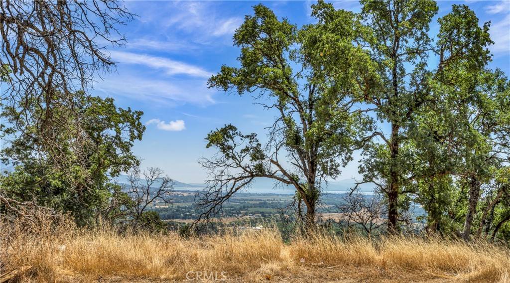 Upper Lake, CA 95485,1354 1350 W State Highway 20