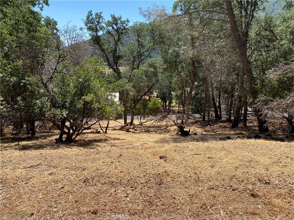 Kelseyville, CA 95451,2671 Greenway DR