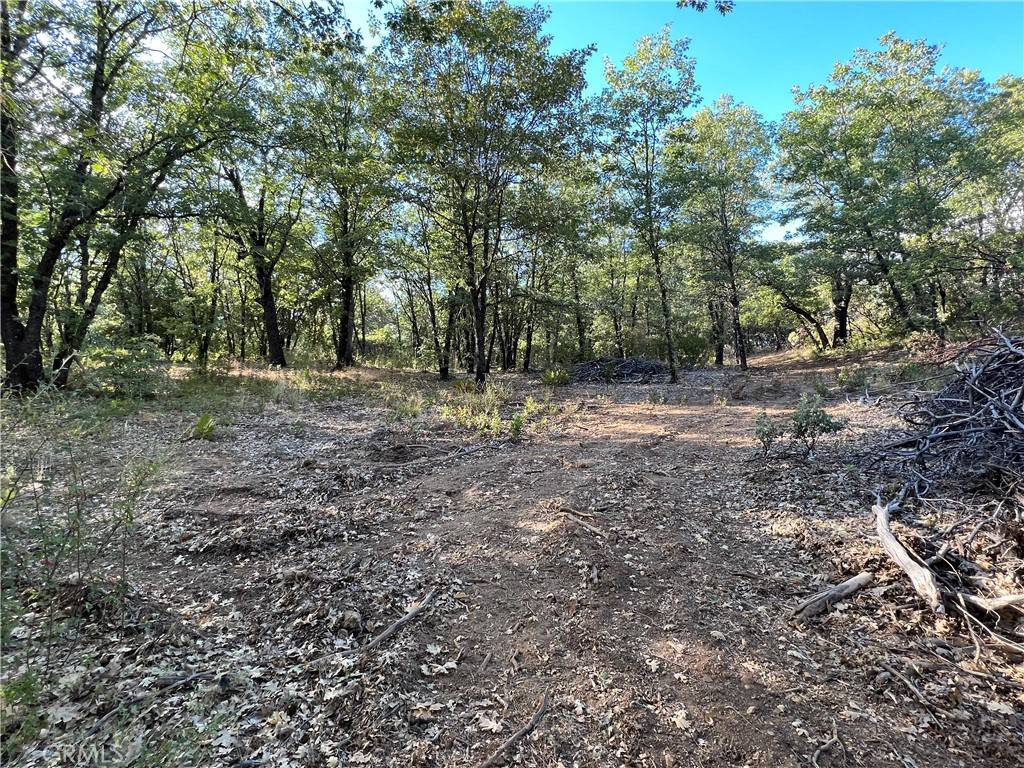 Kelseyville, CA 95451,9204 Diamond Dust TRL