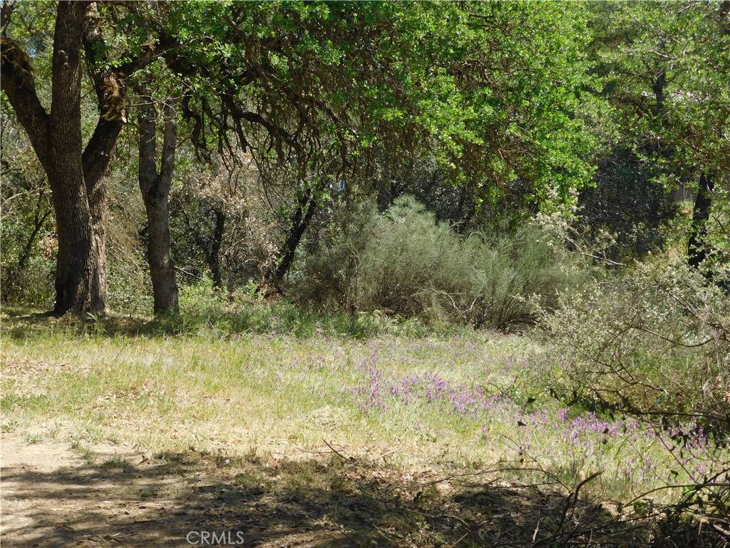 Clearlake, CA 95422,15773 39th AVE