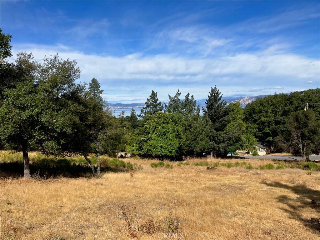 Kelseyville, CA 95451,3092 Riviera Heights DR