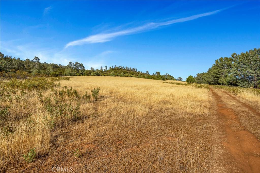 Middletown, CA 95461,20102 Jaclyn DR