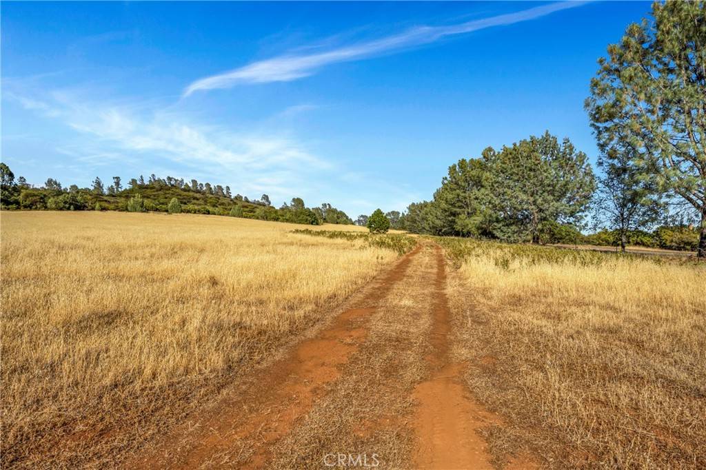 Middletown, CA 95461,20102 Jaclyn DR