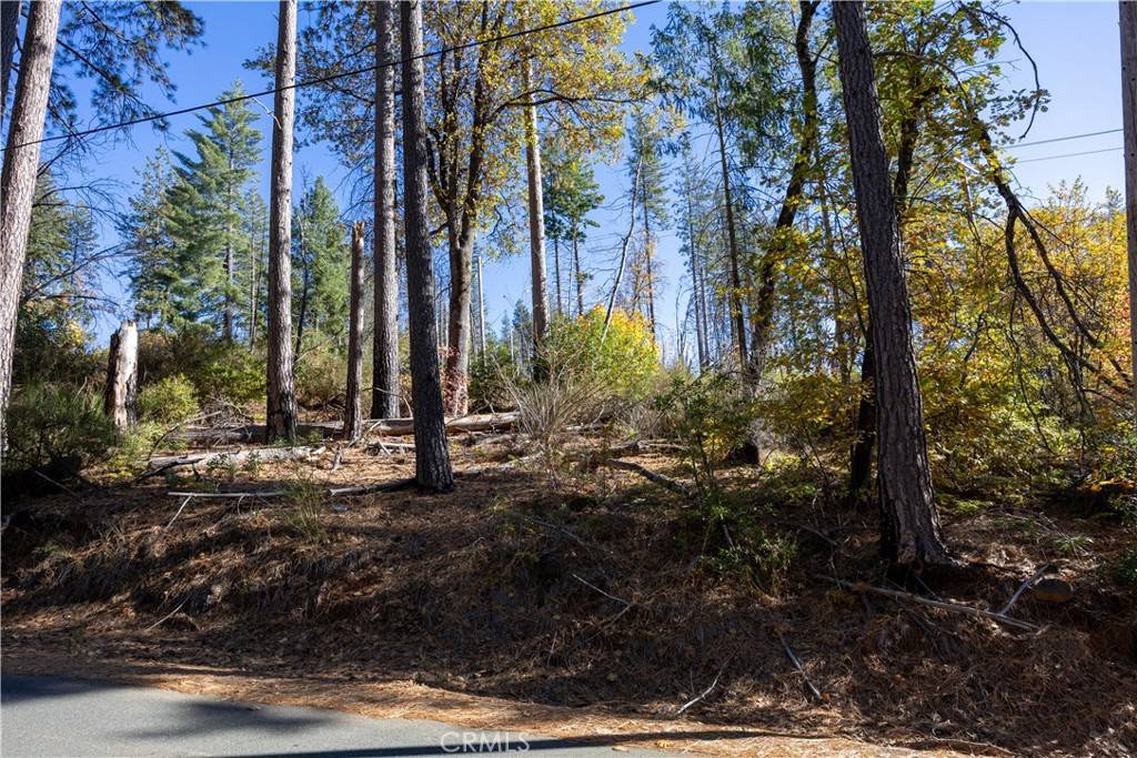 Cobb, CA 95426,10991 Gifford Springs RD