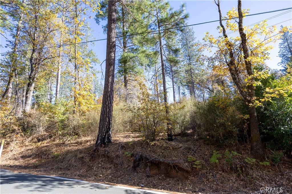 Cobb, CA 95426,10981 Gifford Springs RD