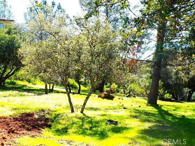 Kelseyville, CA 95451,11083 Wheeler