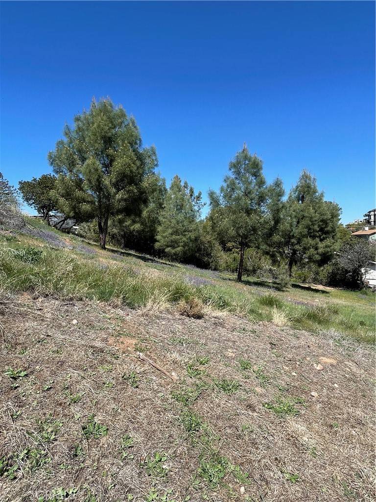 Kelseyville, CA 95451,5005 Schooner CT