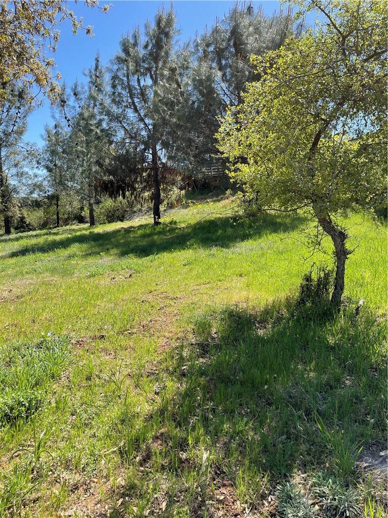Kelseyville, CA 95451,10715 Point Lakeview RD