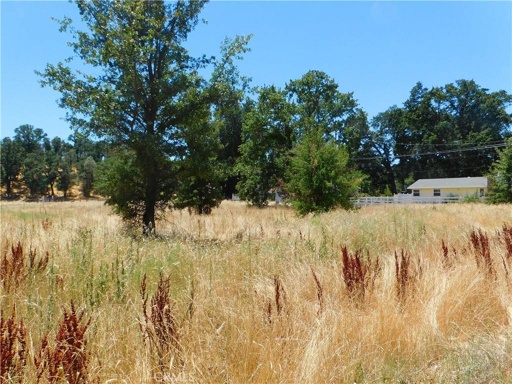 Lower Lake, CA 95457,16523 Ellen Springs RD