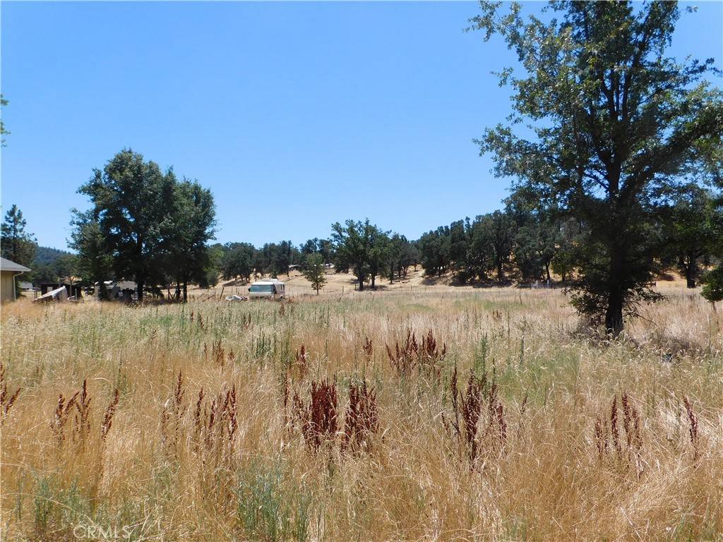 Lower Lake, CA 95457,16523 Ellen Springs RD