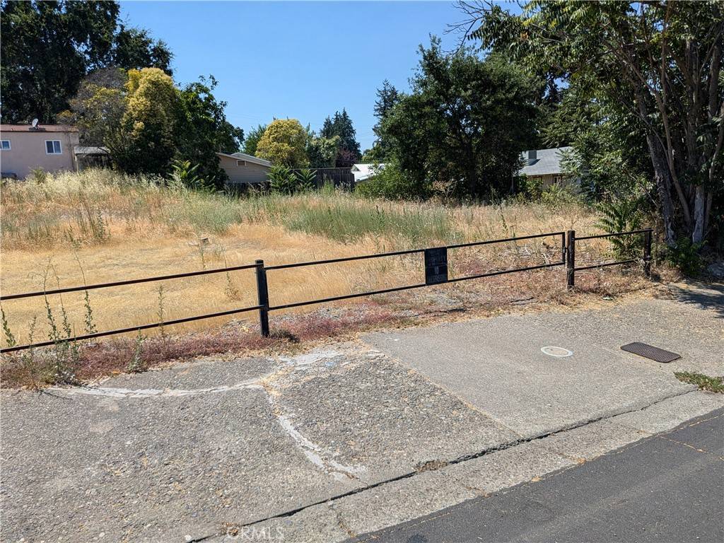 Lakeport, CA 95453,455 N Forbes ST