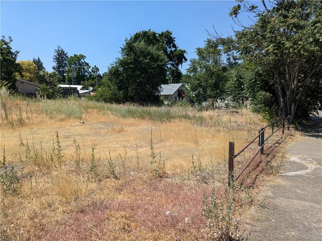 Lakeport, CA 95453,455 N Forbes ST
