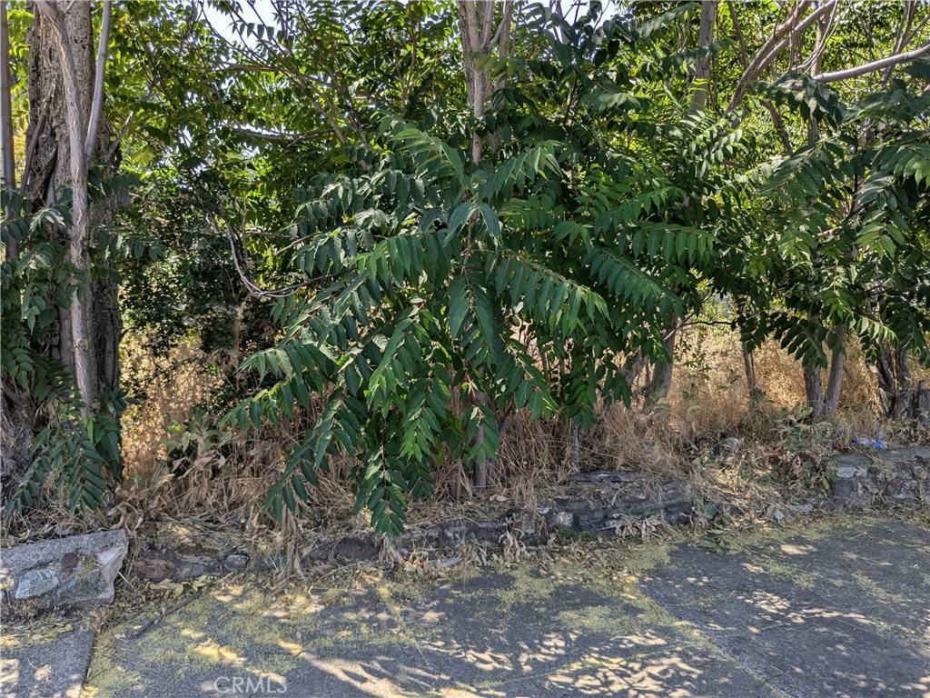 Lakeport, CA 95453,220 4th ST