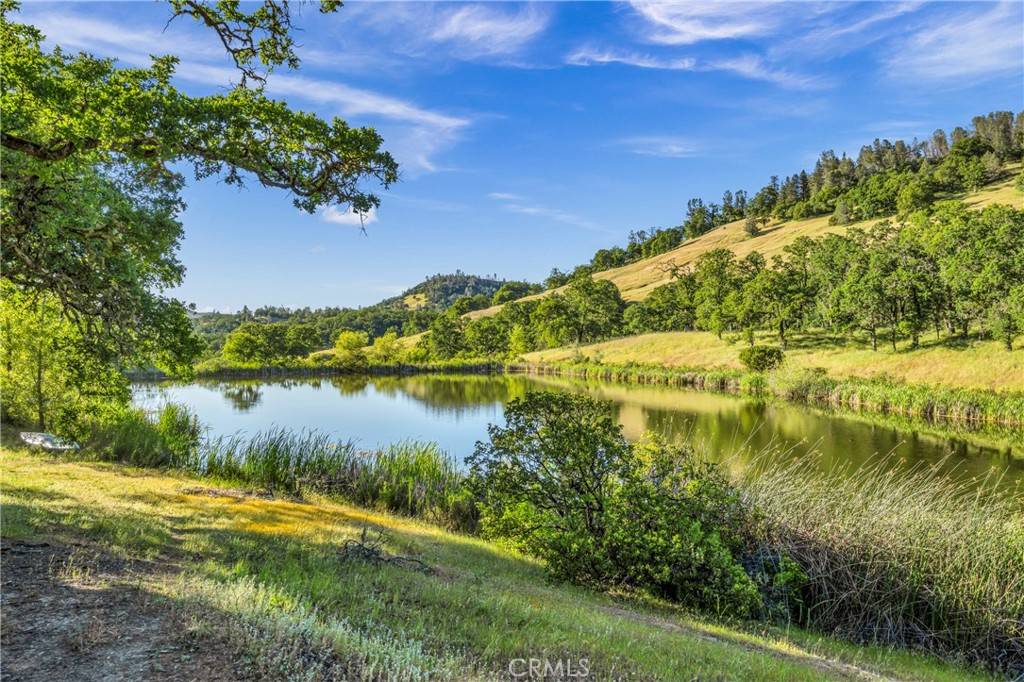 Lower Lake, CA 95457,17063 Hofacker LN