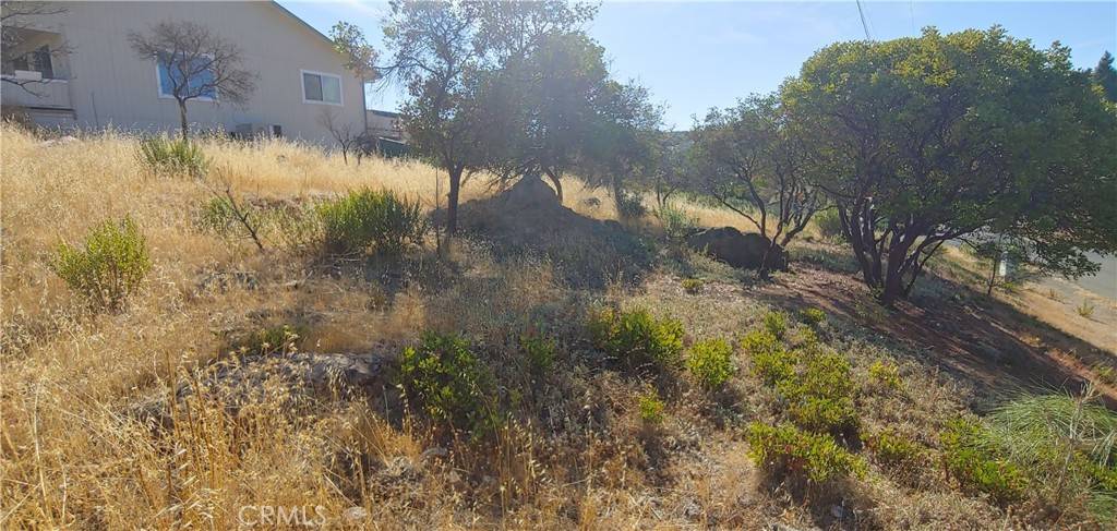 Kelseyville, CA 95451,9911 Emerald DR