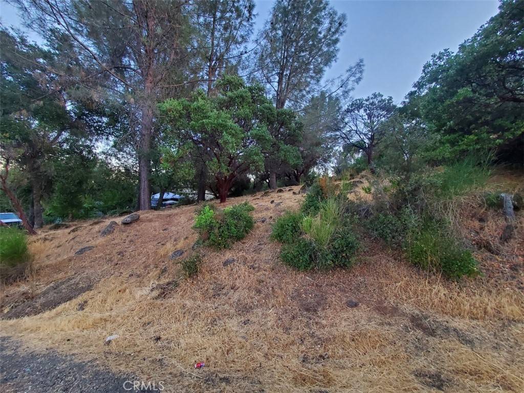 Hidden Valley Lake, CA 95467,17482 Deer Hill RD