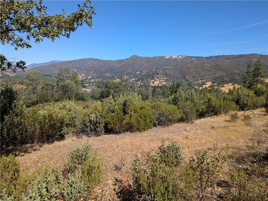 Upper Lake, CA 95485,1725 Clover Valley RD