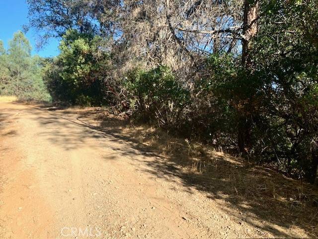 Clearlake Oaks, CA 95423,12321 Mountain View DR