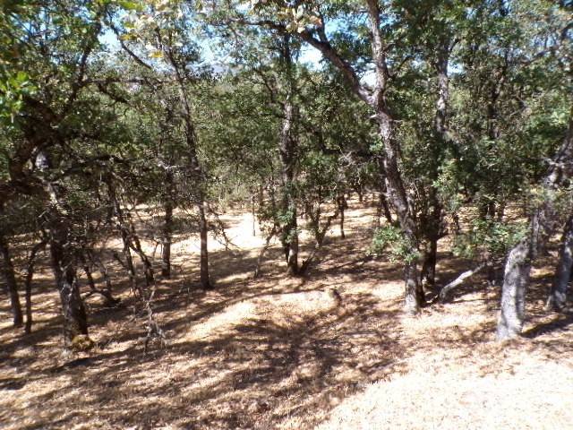 Hidden Valley Lake, CA 95467,19313 Deer Hill RD