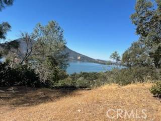 Clearlake Oaks, CA 95423,Address not disclosed