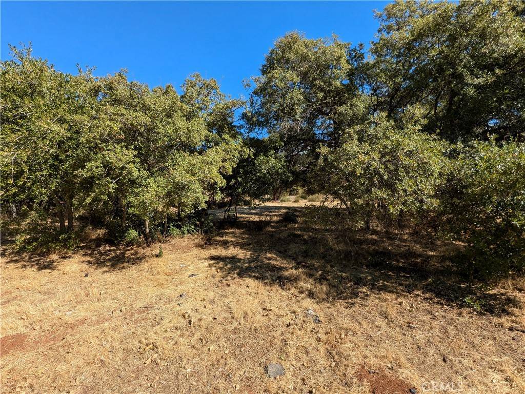 Kelseyville, CA 95451,9252 Takelma CT