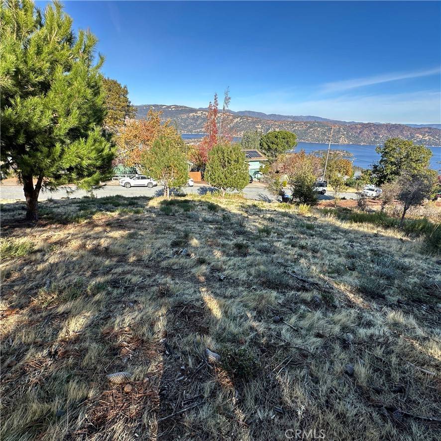 Kelseyville, CA 95451,7826 Evergreen DR