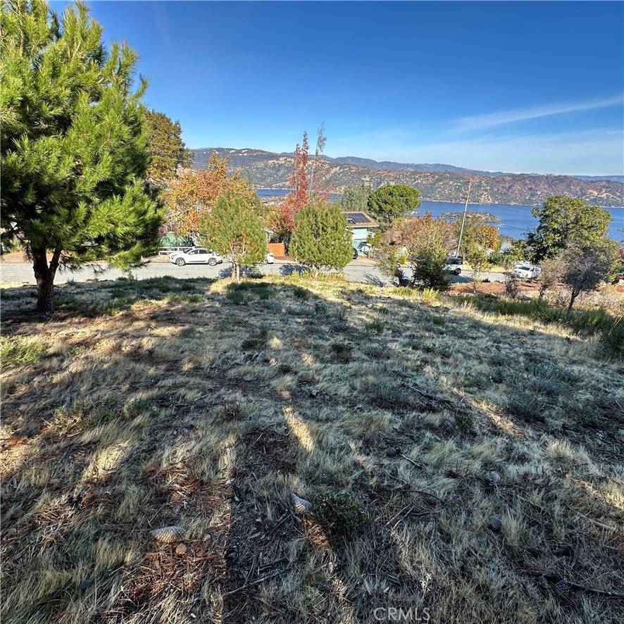 Kelseyville, CA 95451,7826 Evergreen DR